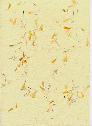 A4 Bogenset Blütenbütten "Goldregen", creme, 8 Bogen