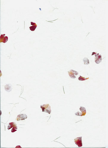 A4 Bogenset Blütenbütten ''Goldregen'', Rosen, 8 Bogen