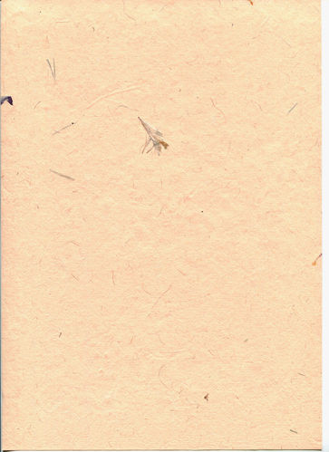 A4 Bogenset Blütenbütten "Goldregen", lachs, 8 Bogen