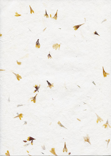 A4 Bogenset Blütenbütten ''Goldregen'', 8 Bogen
