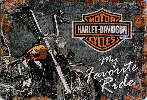 Harley Davidson - my favorite ride